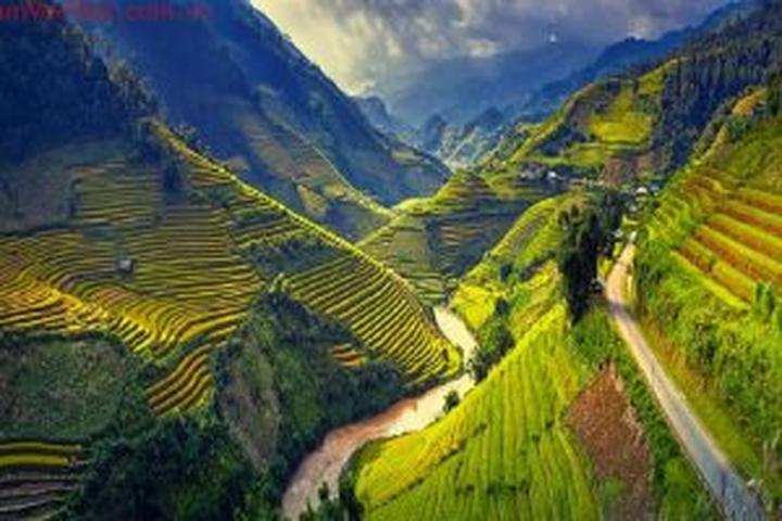 Freelancer Và Cơ Hội Kiếm Tiền Từ Nền Tảng Hotspot Matrix