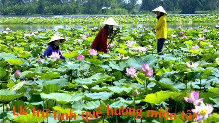 Xu hướng 3 kiểu giày