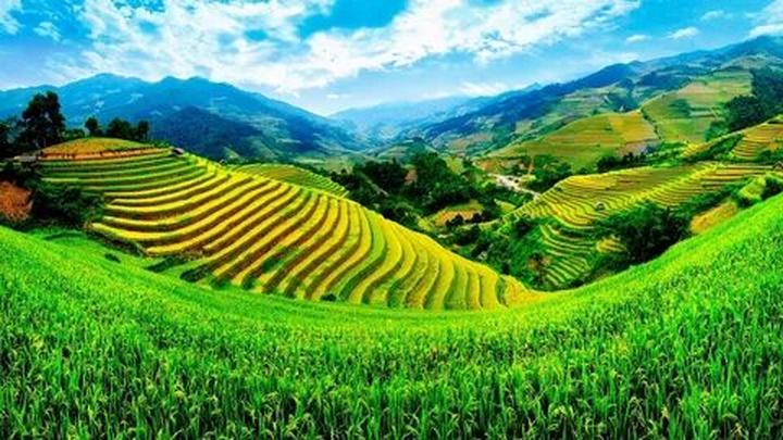 Nữ diễn viên có style
