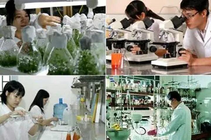 Hotspot Matrix và Chuyển đổi số – chuyên ngành học của tương lai vừa “đổ bộ” Trường Đại
